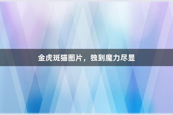 金虎斑猫图片，独到魔力尽显