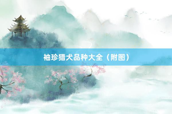 袖珍猎犬品种大全（附图）